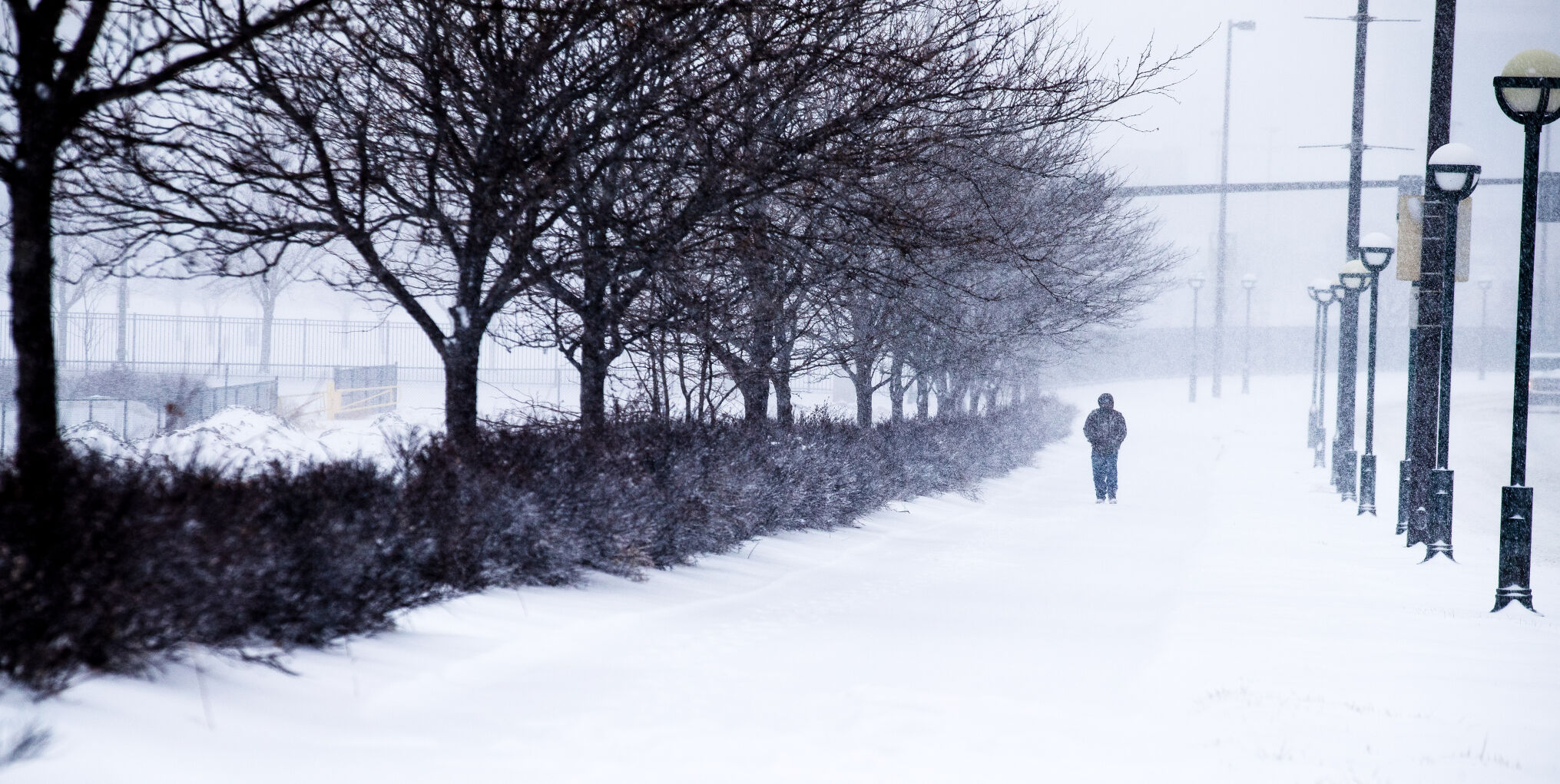 012621-owh-new-snowmonday-zl1.JPG
